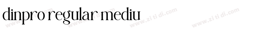 dinpro regular mediu字体转换 dinpro regular mediu字体转换